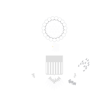 Dept of State